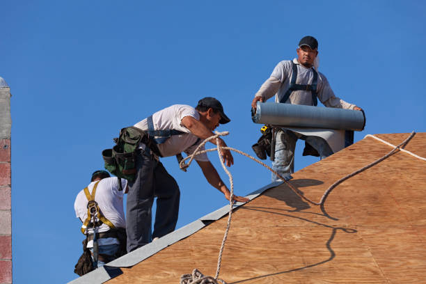 Best Roof Leak Repair  in Thorsby, AL