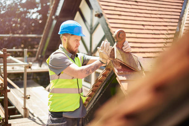 Best Metal Roofing Contractor  in Thorsby, AL