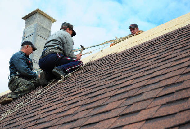 Best Roof Repair Services  in Thorsby, AL