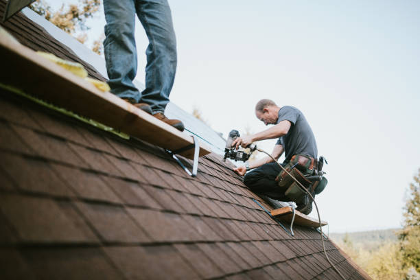 Best Storm Damage Roof Repair  in Thorsby, AL