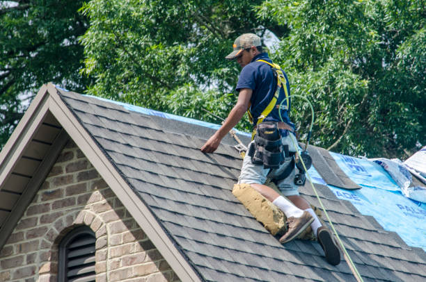 Best Metal Roofing Contractor  in Thorsby, AL